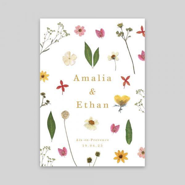 Fleurs sauvages - RV 10,5 x 14,8 cm