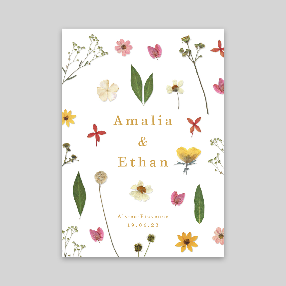 Fleurs sauvages - RV 10,5 x 14,8 cm