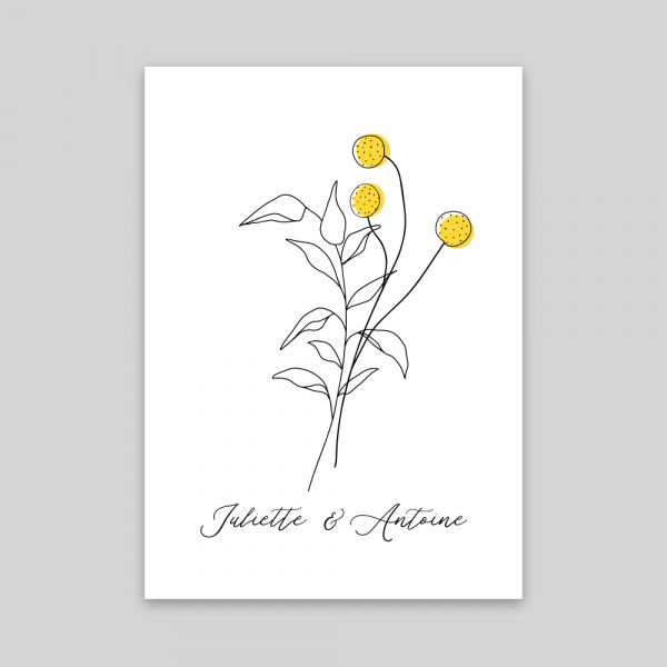 Craspedia - RV 10,5 x 14,8 cm