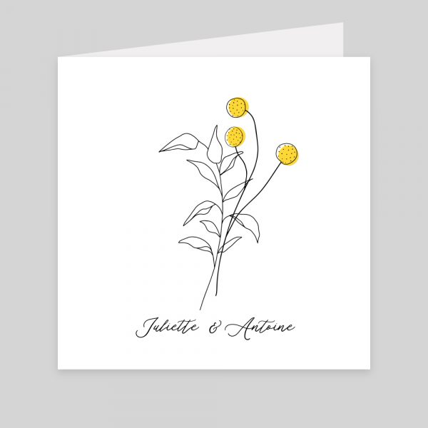 Craspedia - 2 volets 14,6 x 14,6 cm