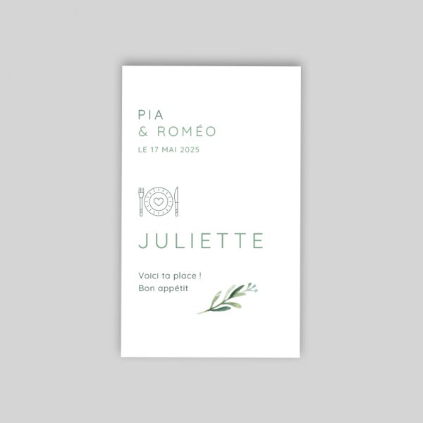 Branche eucalyptus - sachet de graines