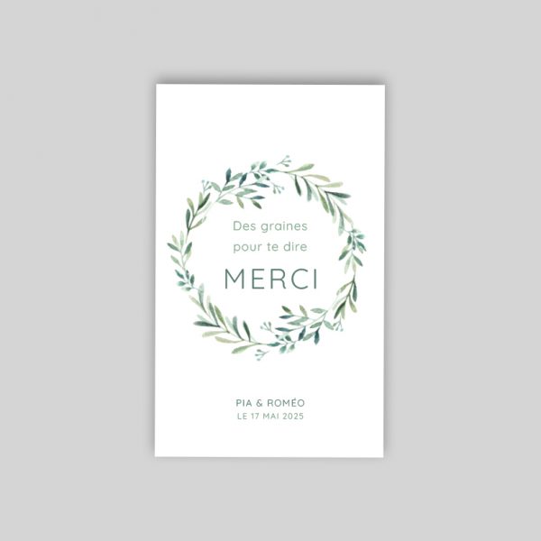 Branche eucalyptus - sachet de graines