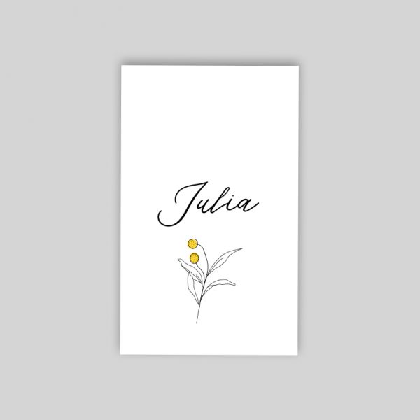 Craspedia - sachet de graines