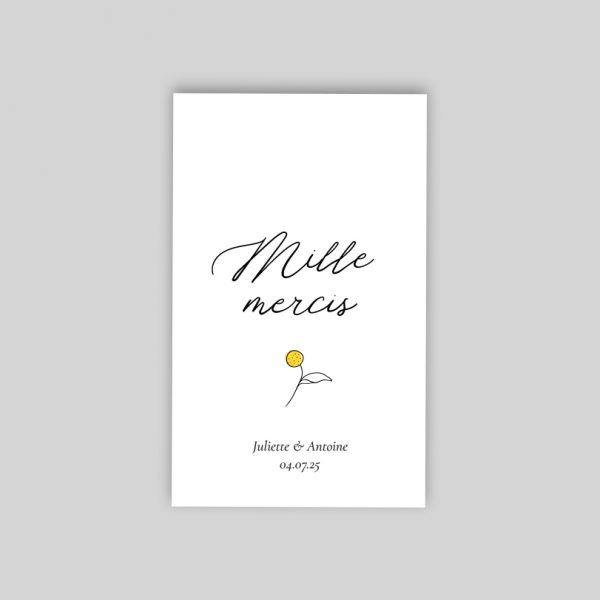 Craspedia - sachet de graines